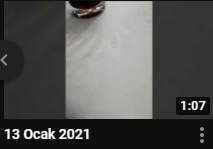 altıncı
